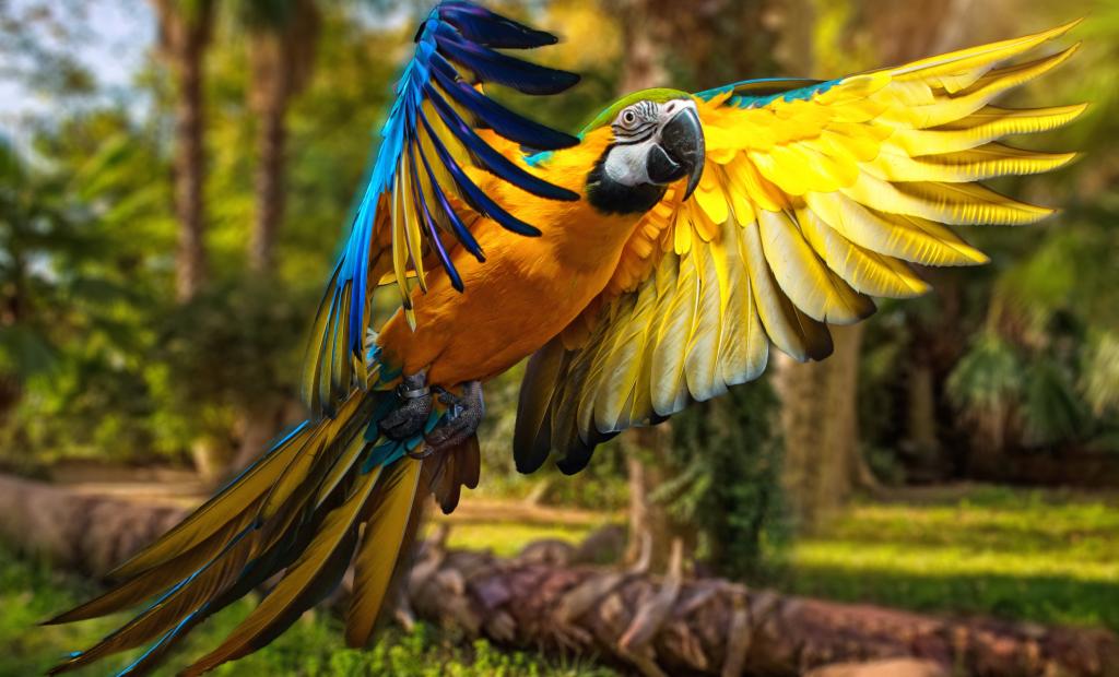shutterstock_185782433.jpg