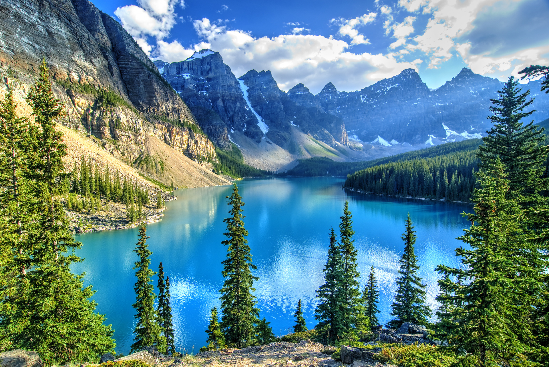 shutterstock_573567388.jpg