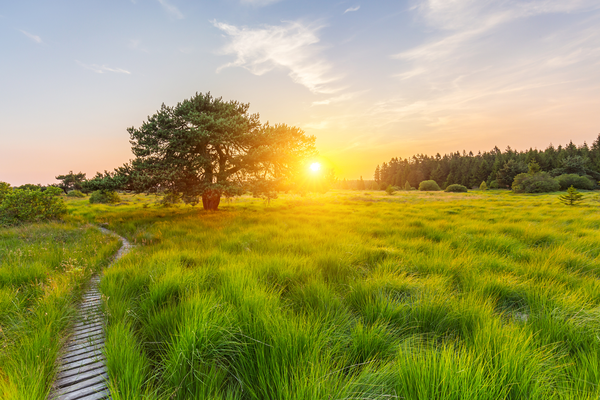 shutterstock_303100349.jpg