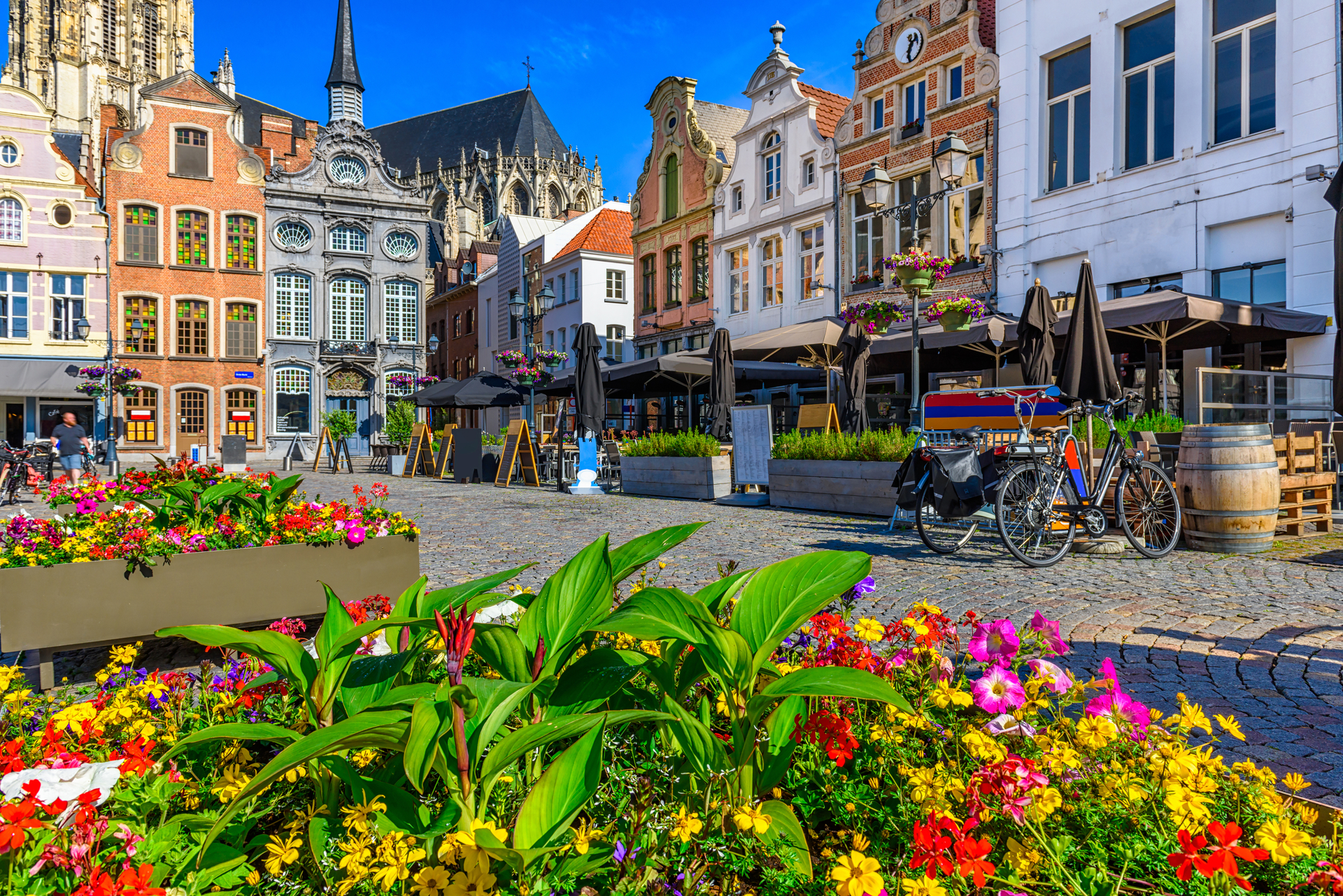 shutterstock_1570101721.jpg