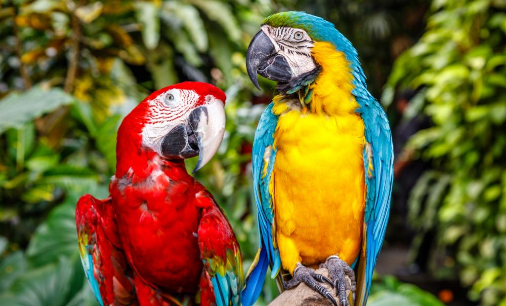 shutterstock_1054216454.jpg