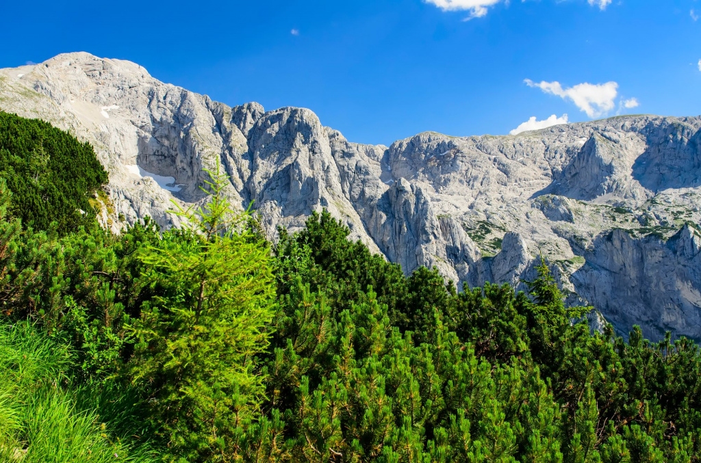 shutterstock_1117637105.jpg