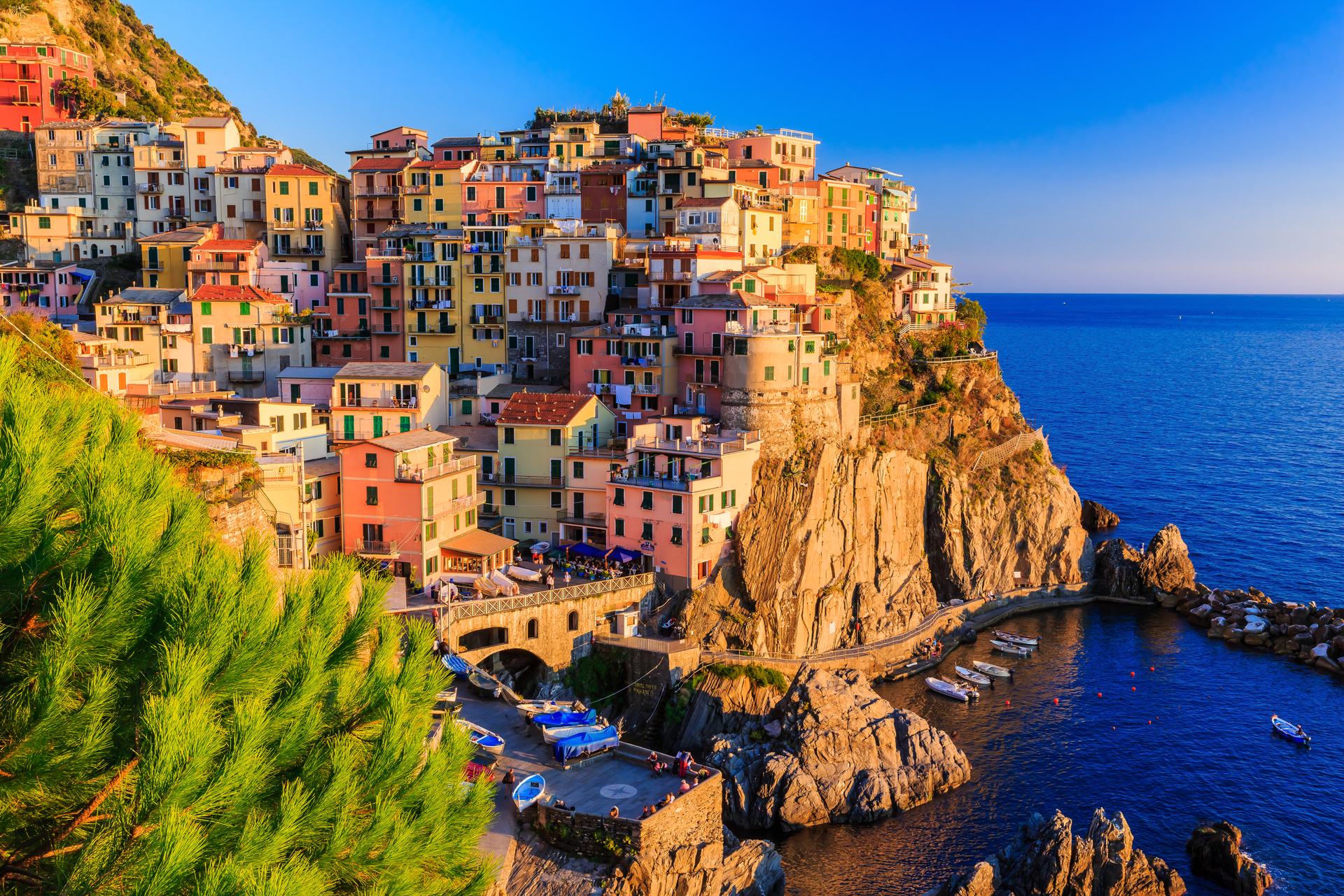 shutterstock_230413204.jpg
