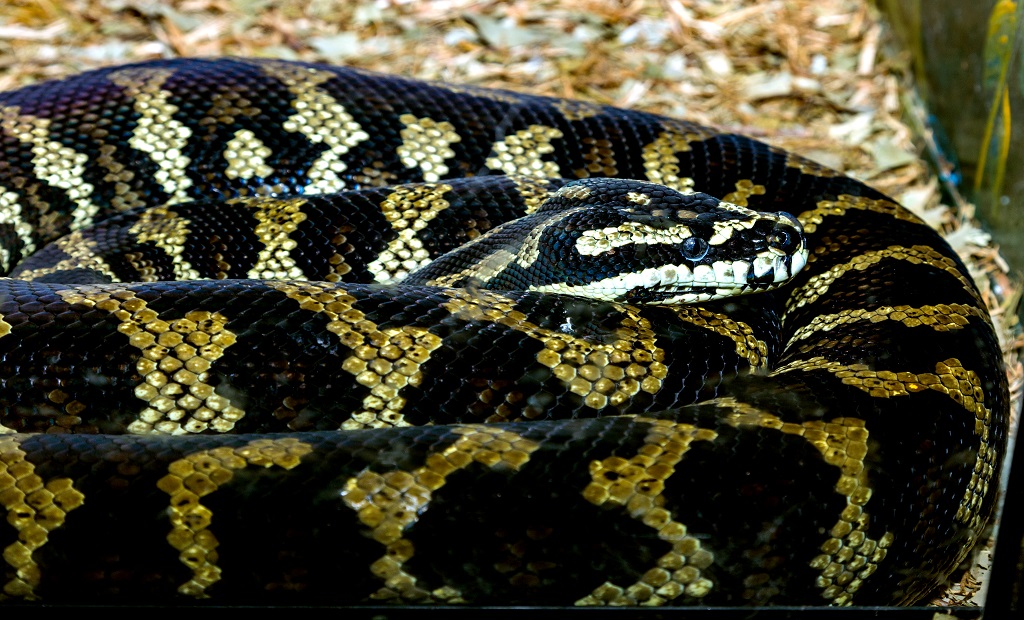 shutterstock_1659757846.jpg