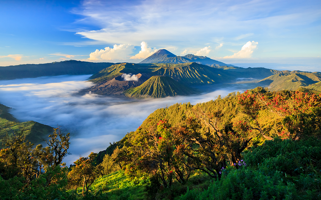 shutterstock_154213739.jpg