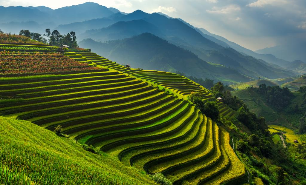 shutterstock_522620224.jpg