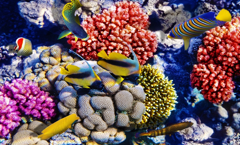 shutterstock_125225081.jpg