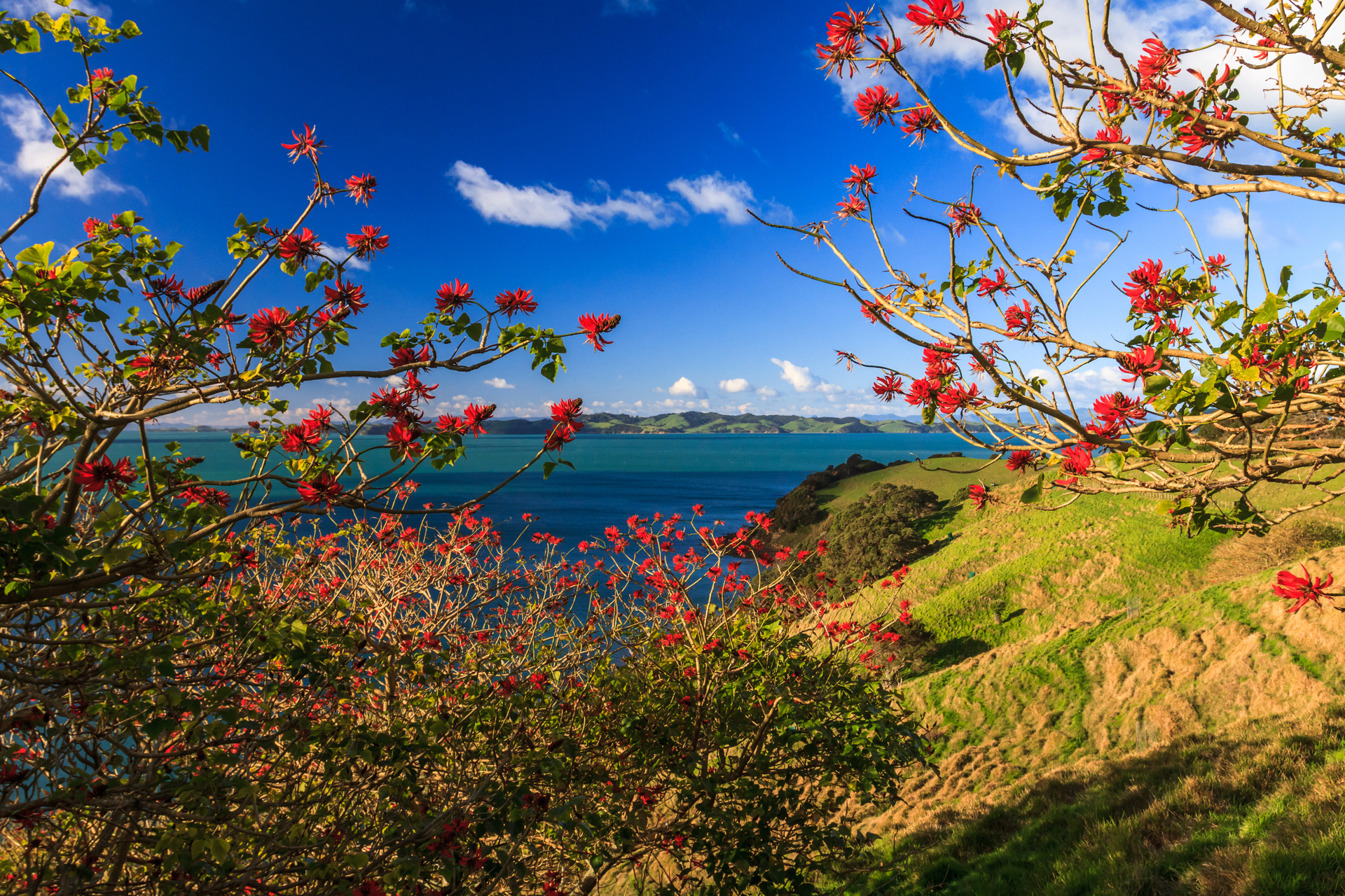 shutterstock_159029606.jpg
