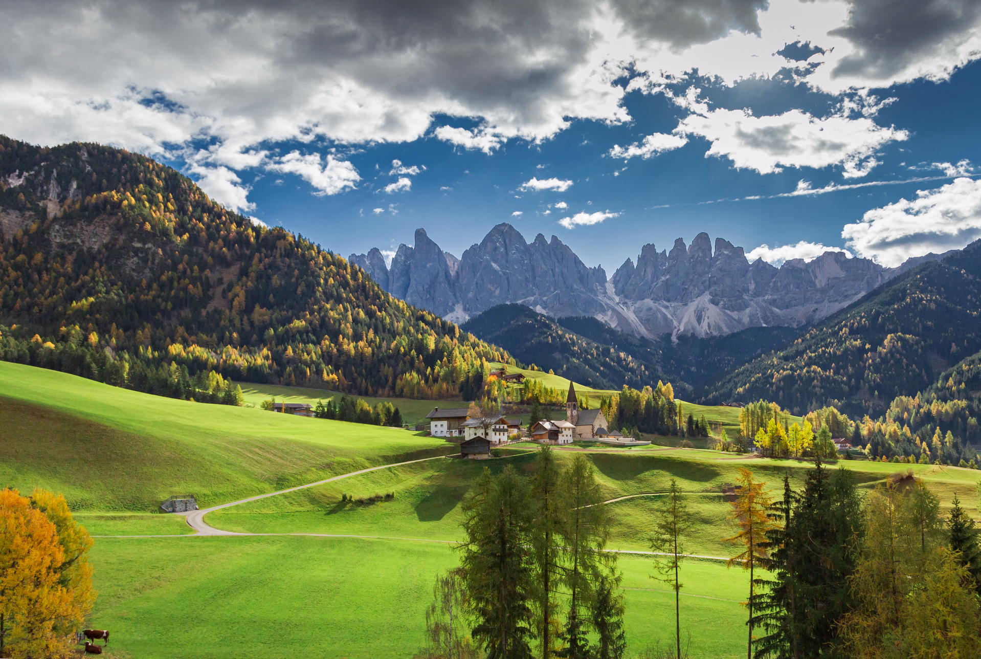 shutterstock_1799495356.jpg