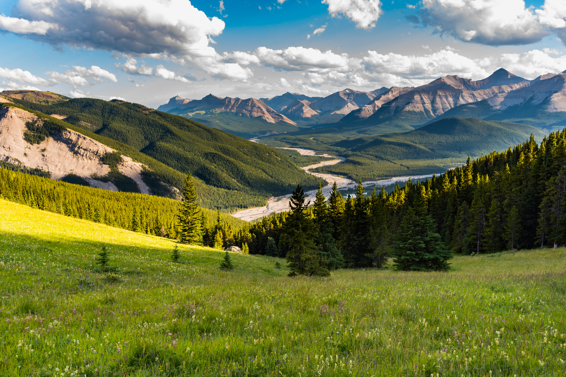 shutterstock_699727651.jpg