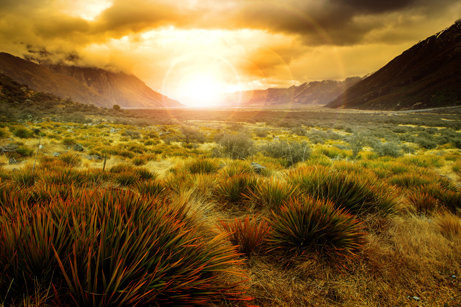shutterstock_321784286.jpg