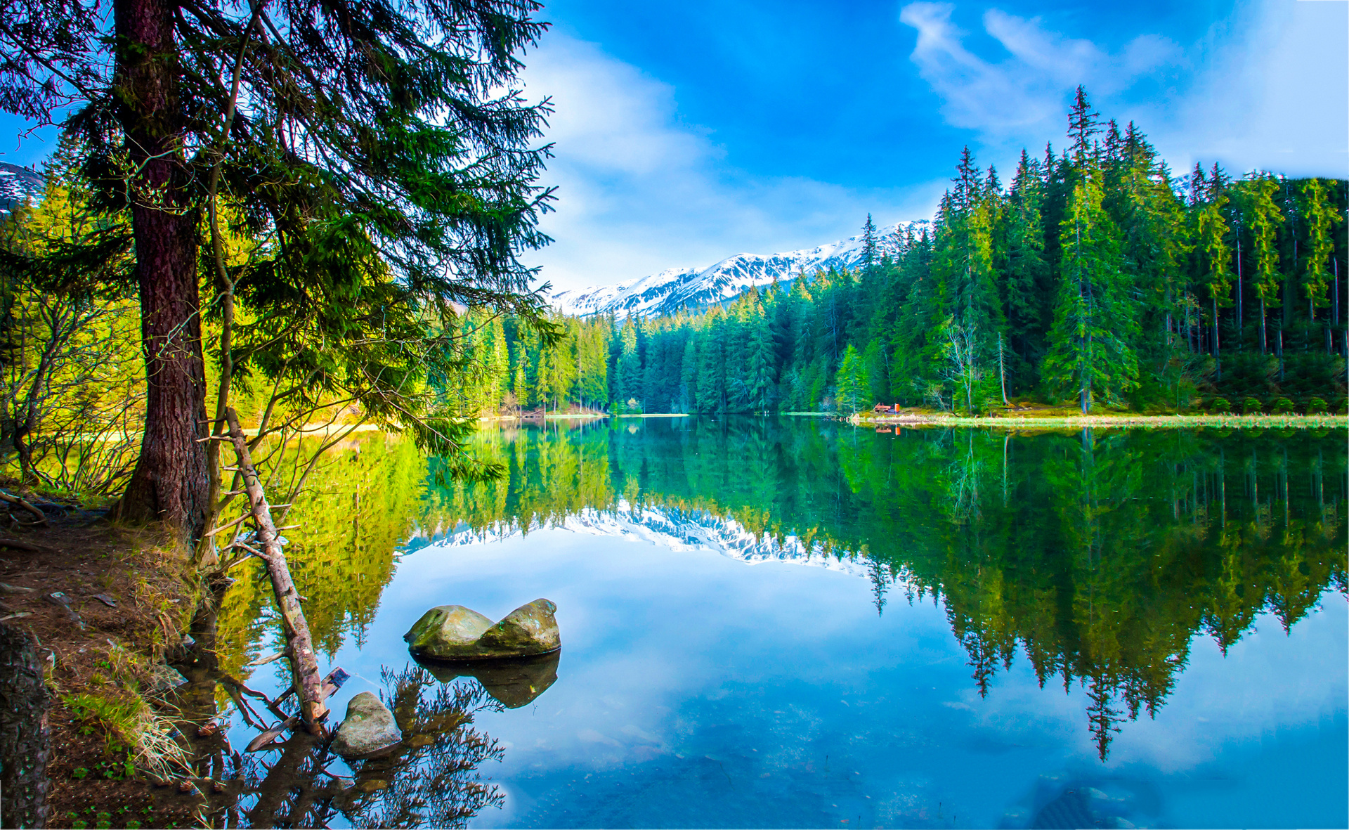 shutterstock_1256260240.jpg