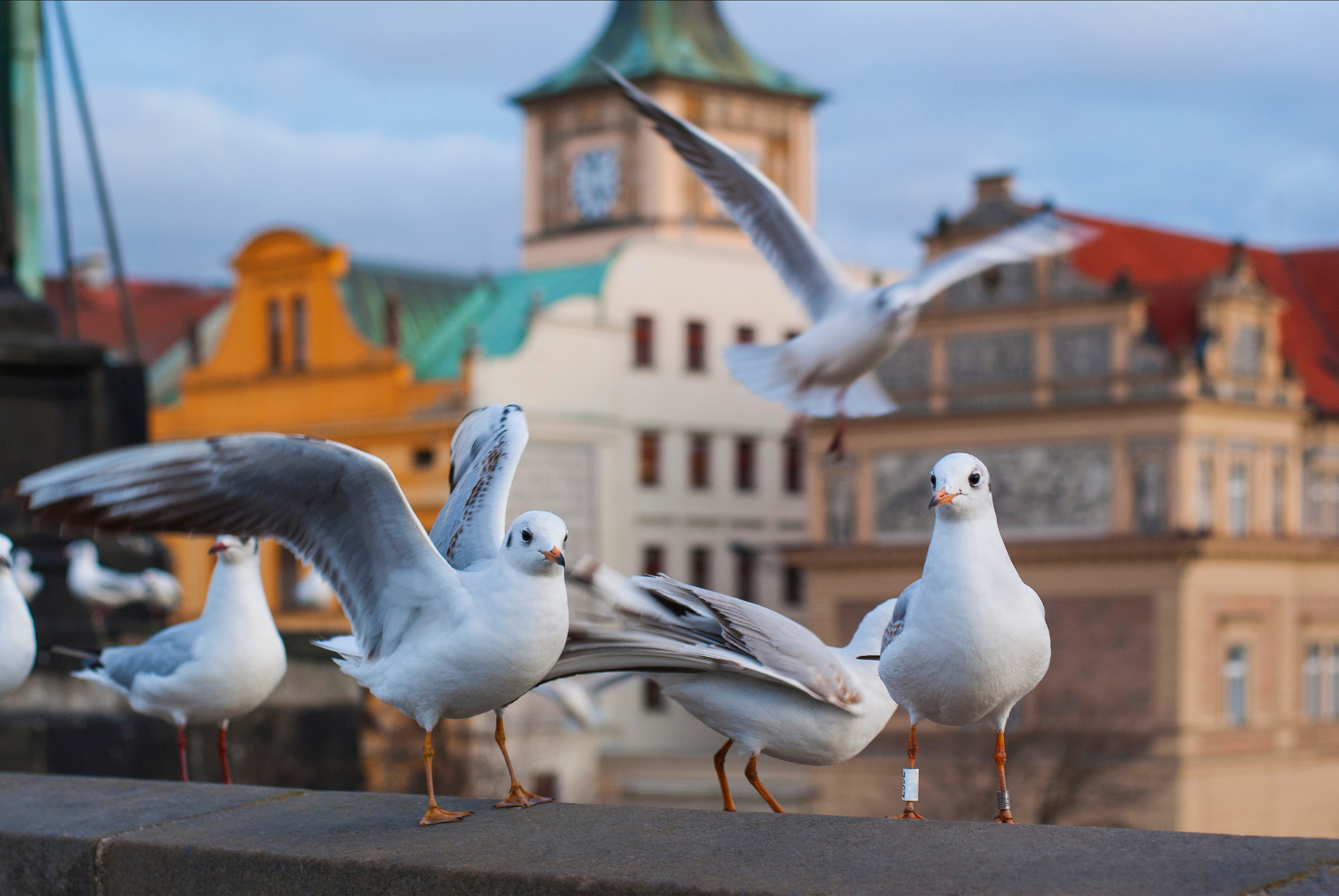 shutterstock_1769039873.jpg
