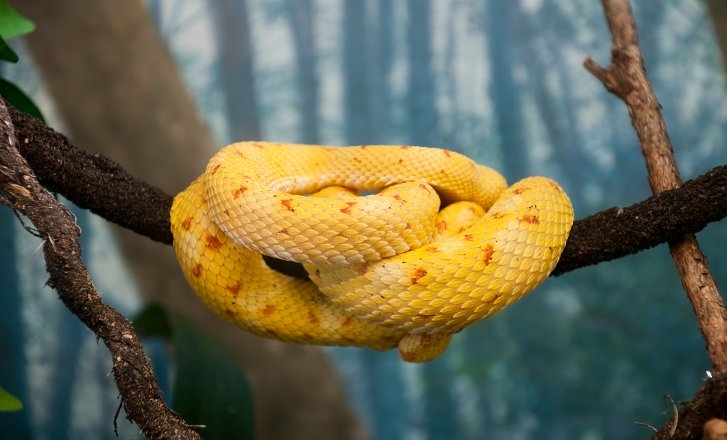 shutterstock_1478424509.jpg