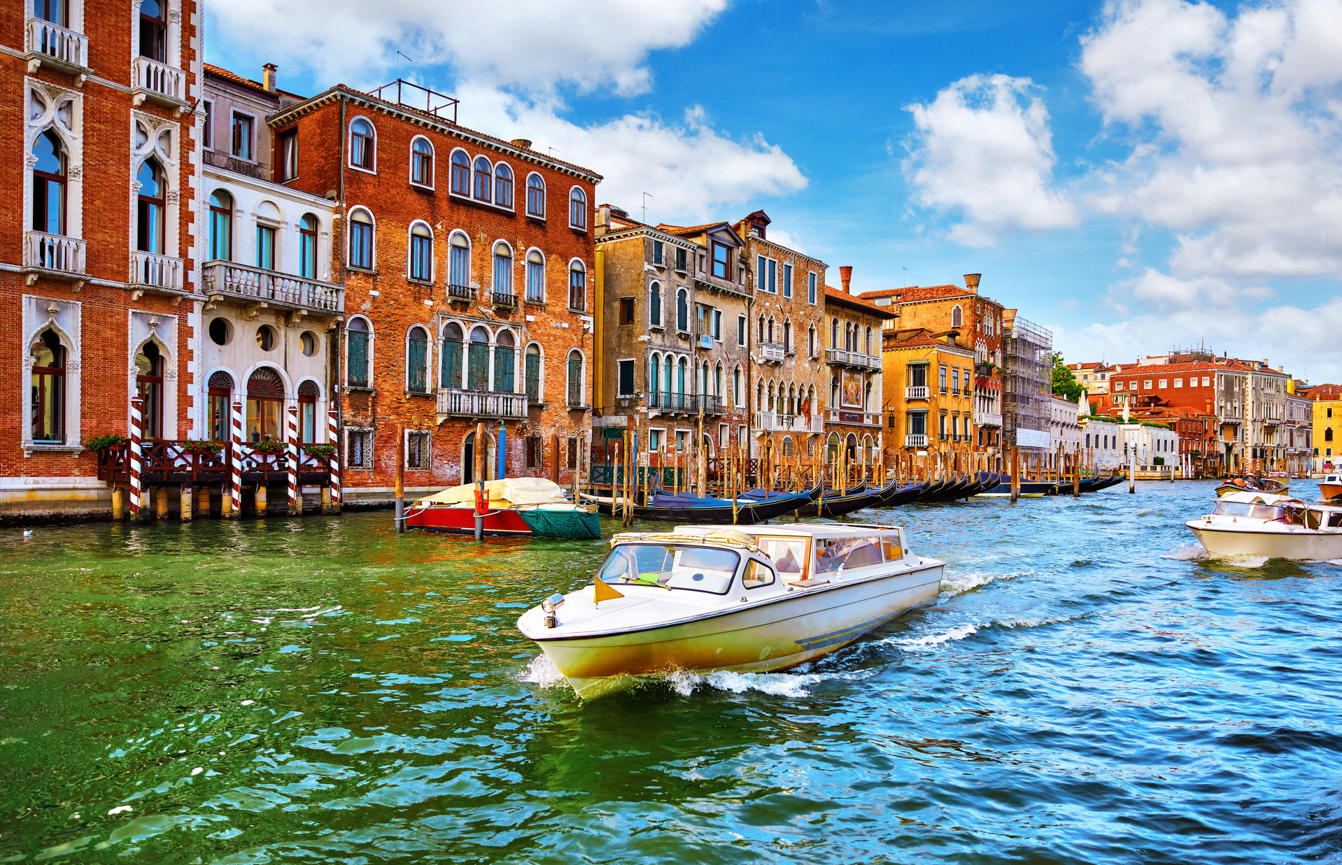shutterstock_1273153825.jpg