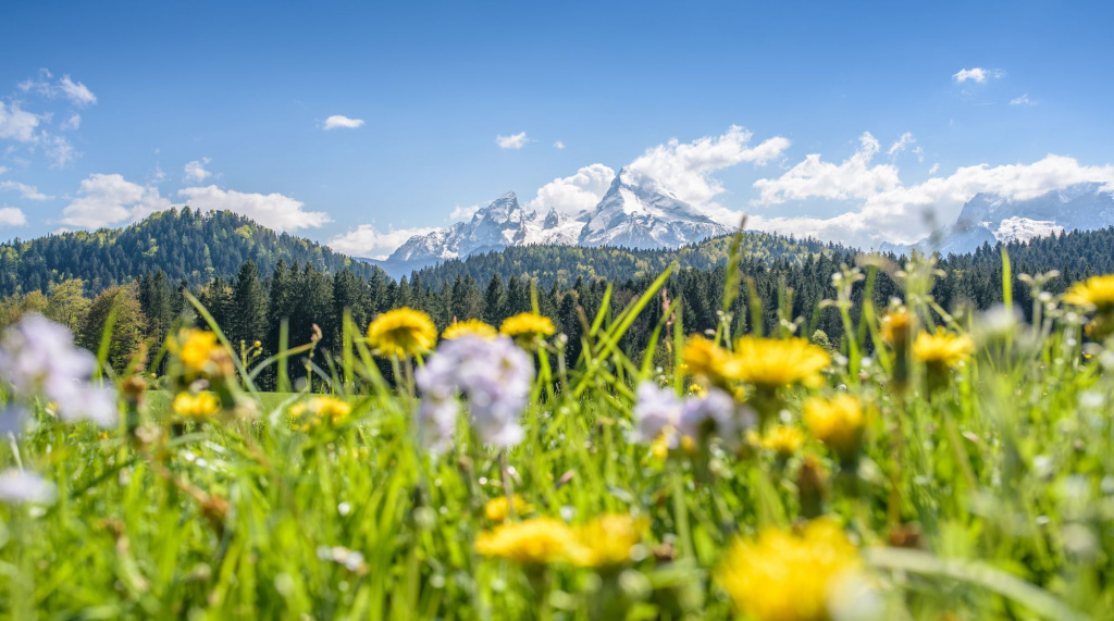 shutterstock_460263901.jpg