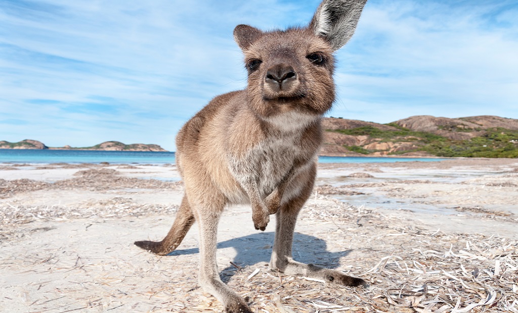 shutterstock_1285283947.jpg