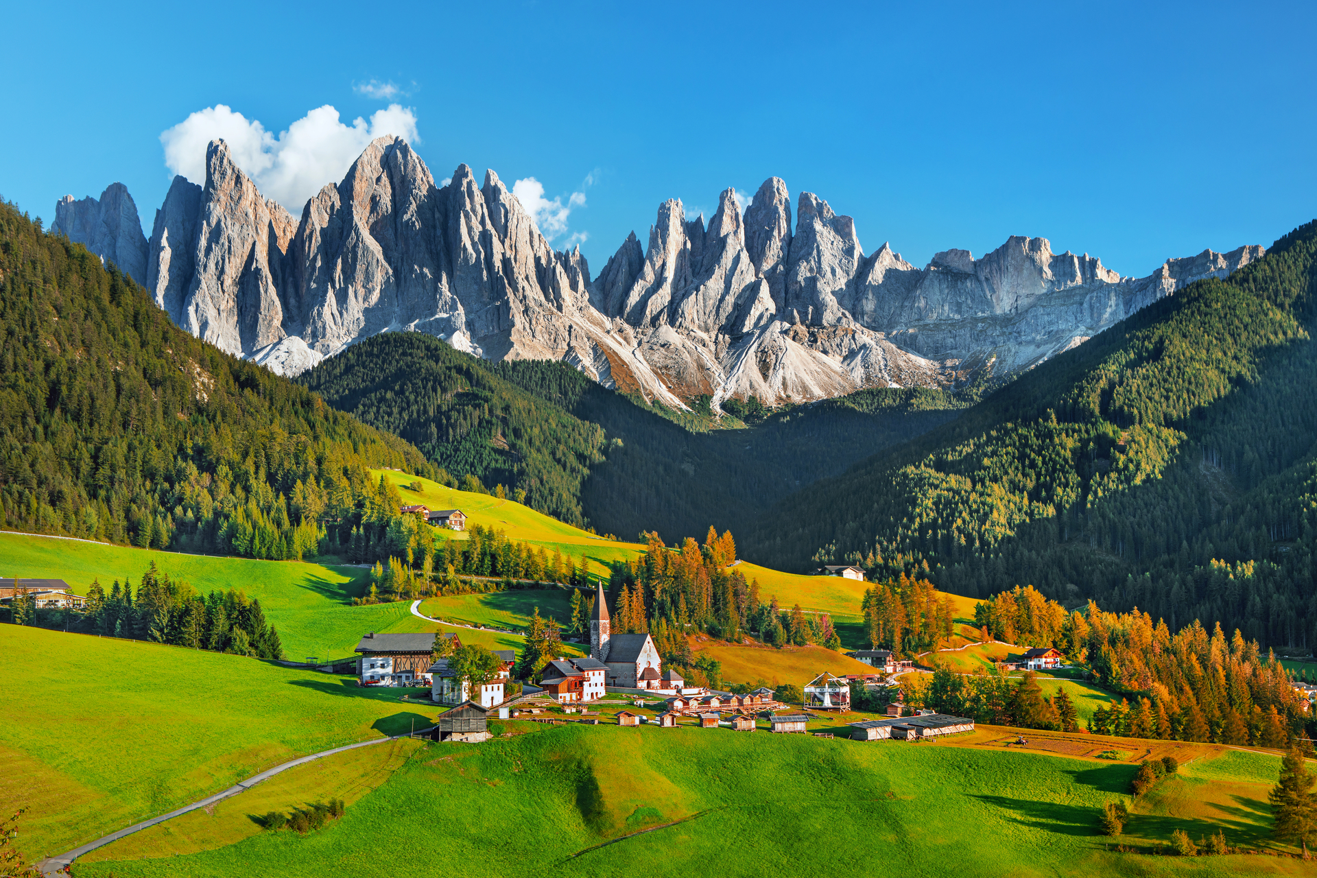 shutterstock_1724232673.jpg