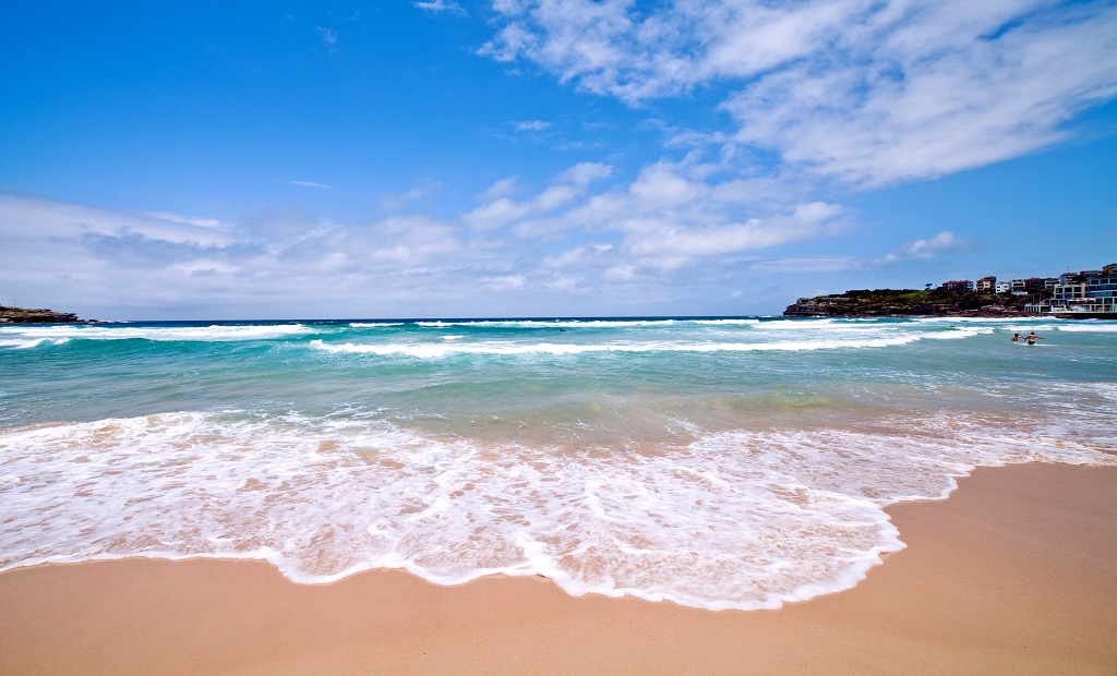 shutterstock_241956493.jpg