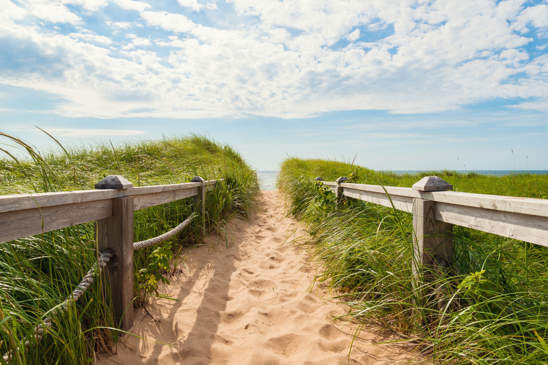 shutterstock_315833192.jpg
