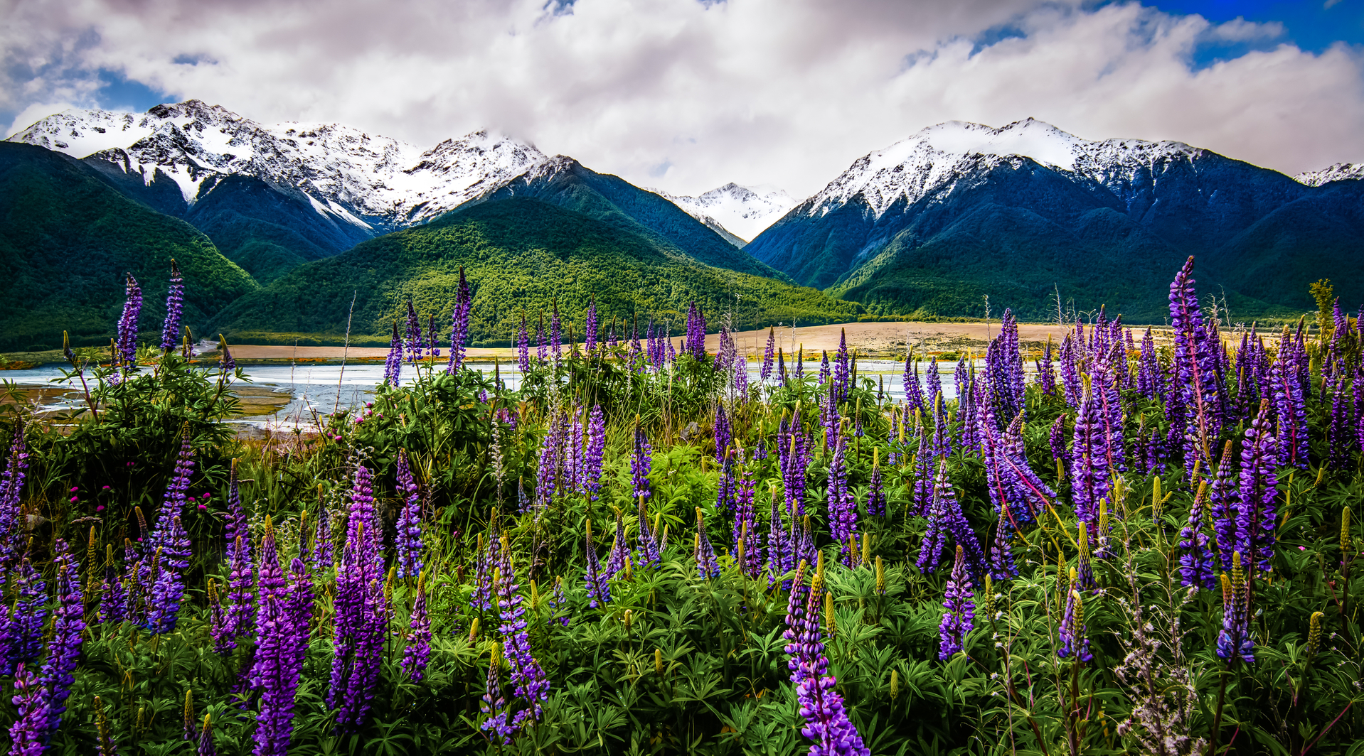 shutterstock_1007330998.jpg