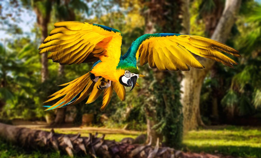 shutterstock_229409413.jpg