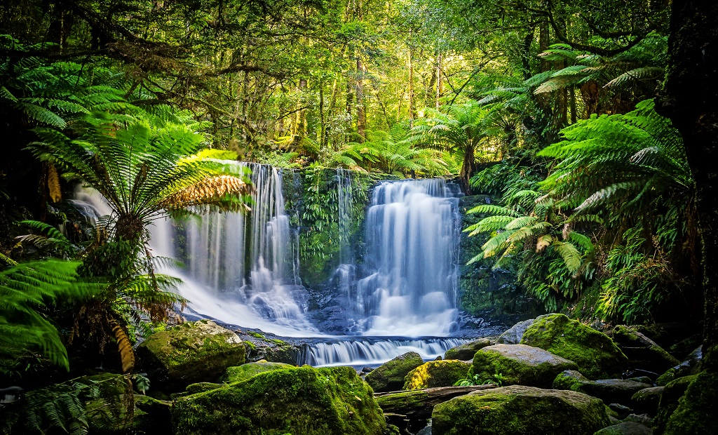 shutterstock_1136832755.jpg