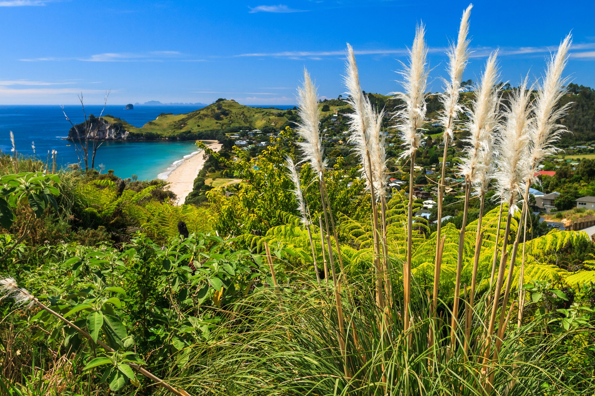 shutterstock_166040783.jpg