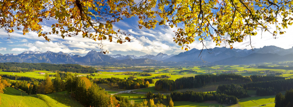 shutterstock_271981121.jpg