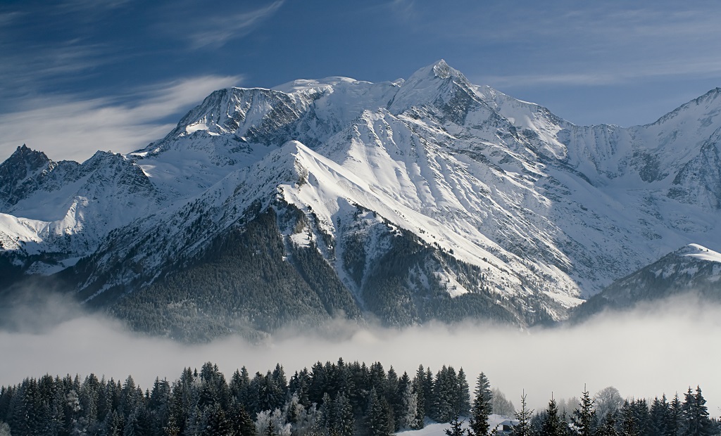 shutterstock_48301972.jpg