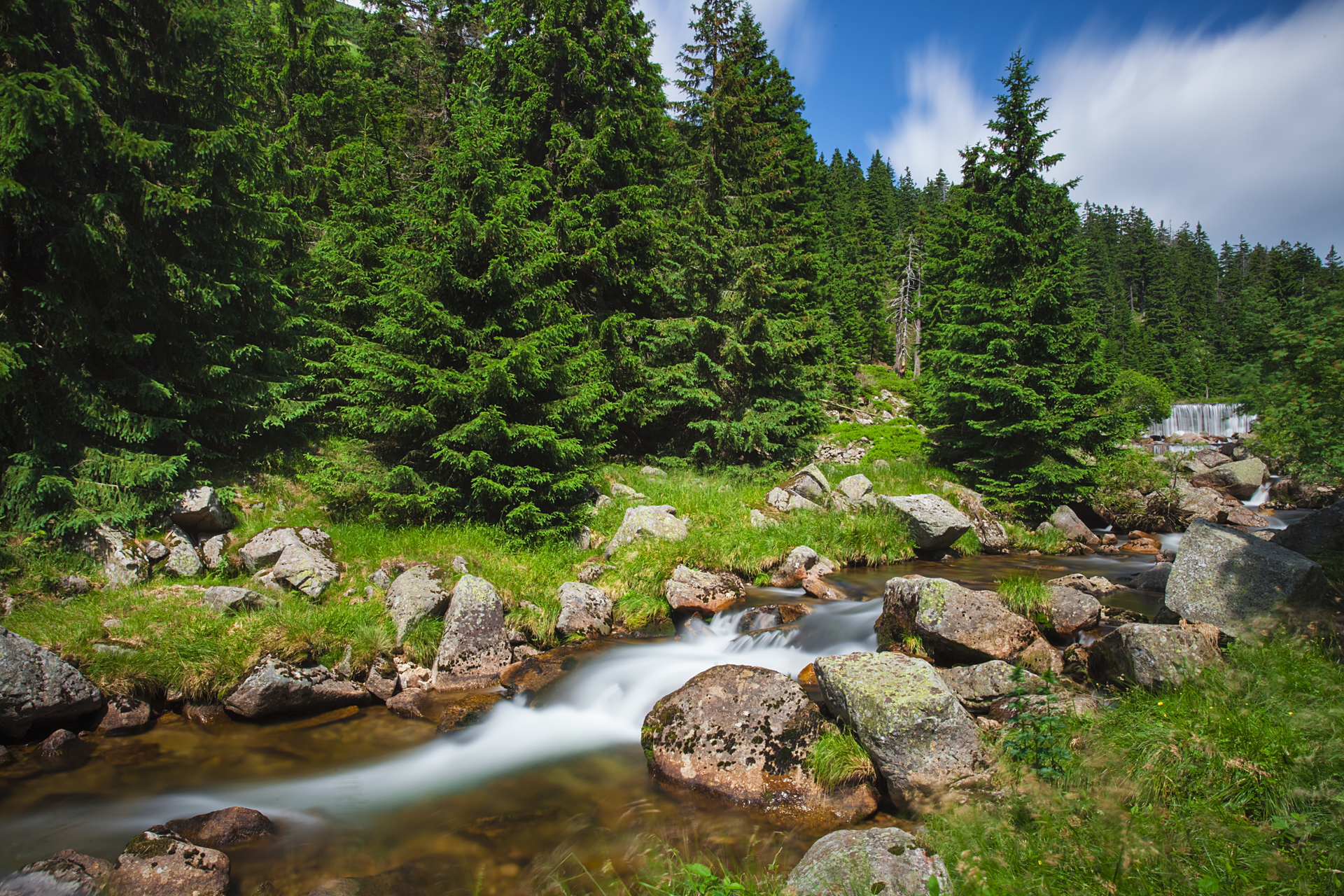 shutterstock_384290302.jpg