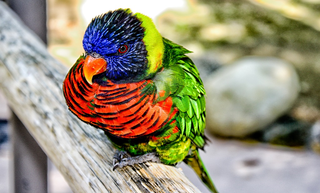 shutterstock_148999877.jpg