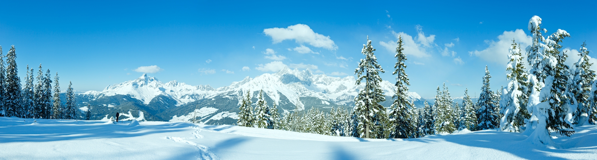 shutterstock_162819725.jpg