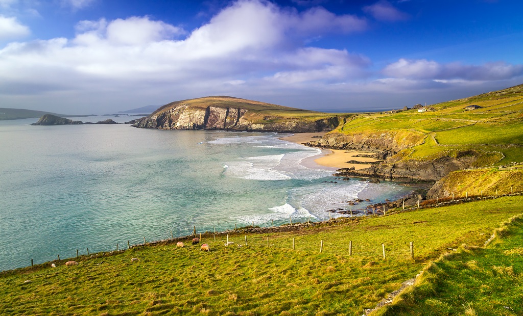 shutterstock_140613940.jpg
