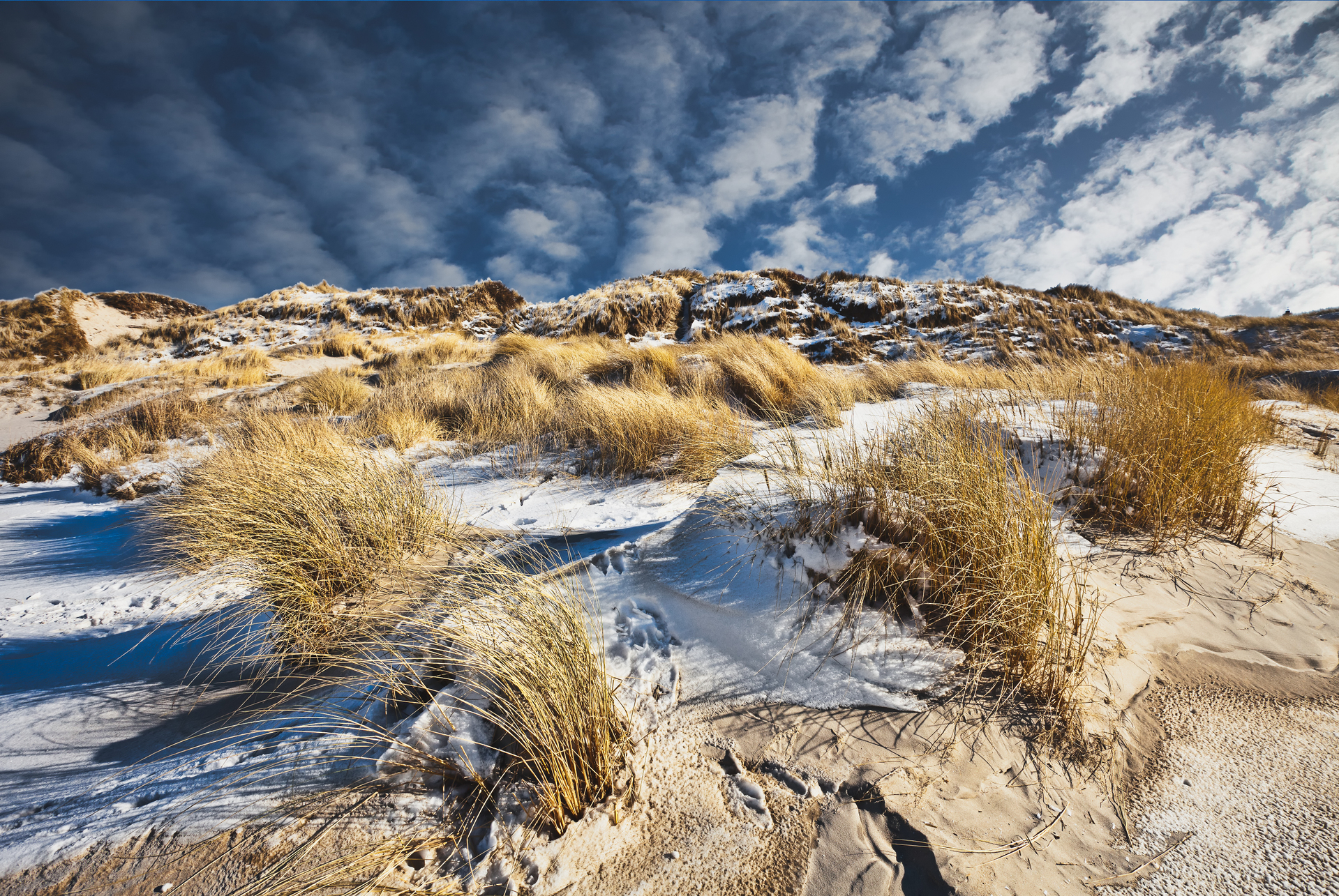shutterstock_71792035.jpg