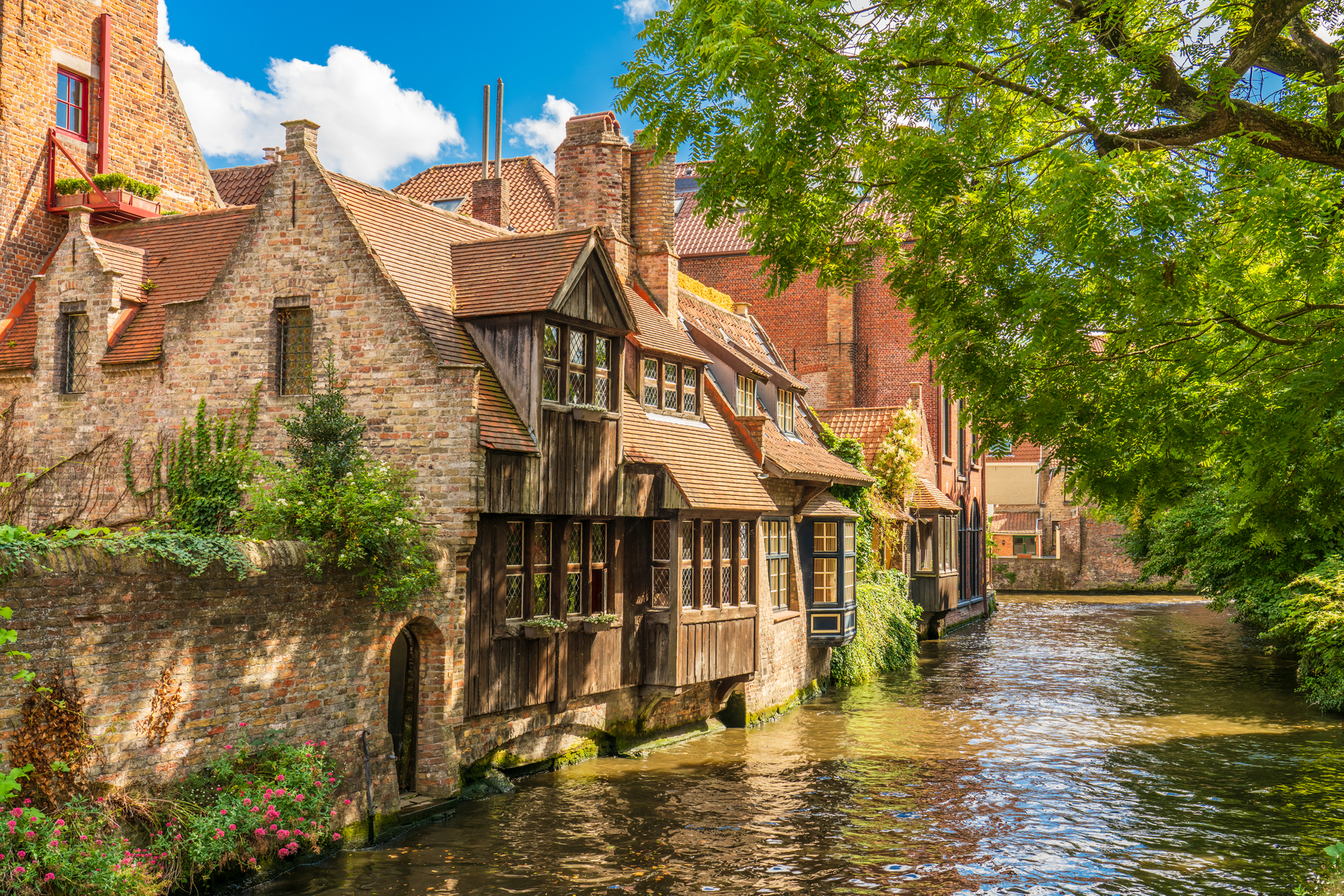 shutterstock_1517443499.jpg