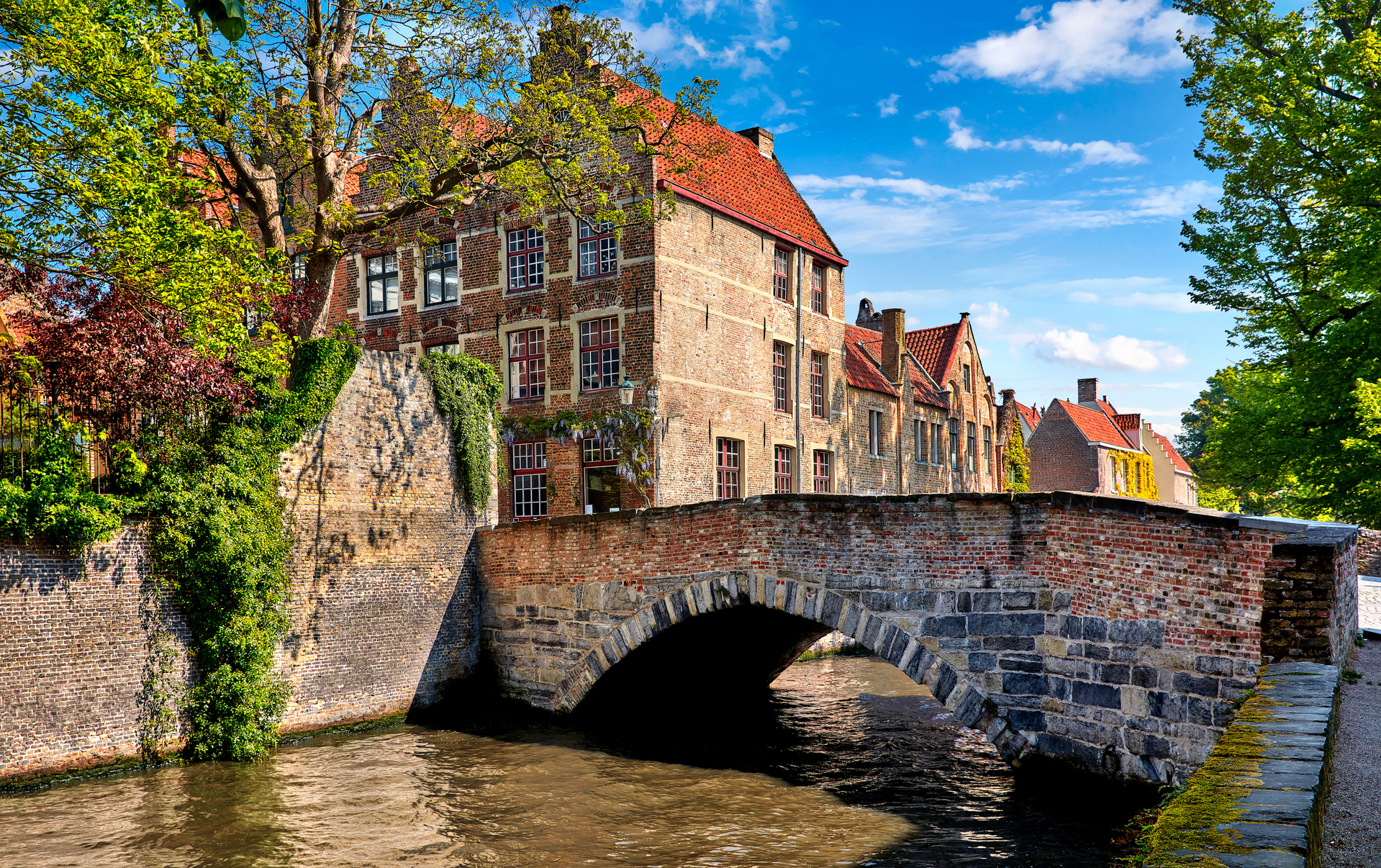 shutterstock_1020308062.jpg