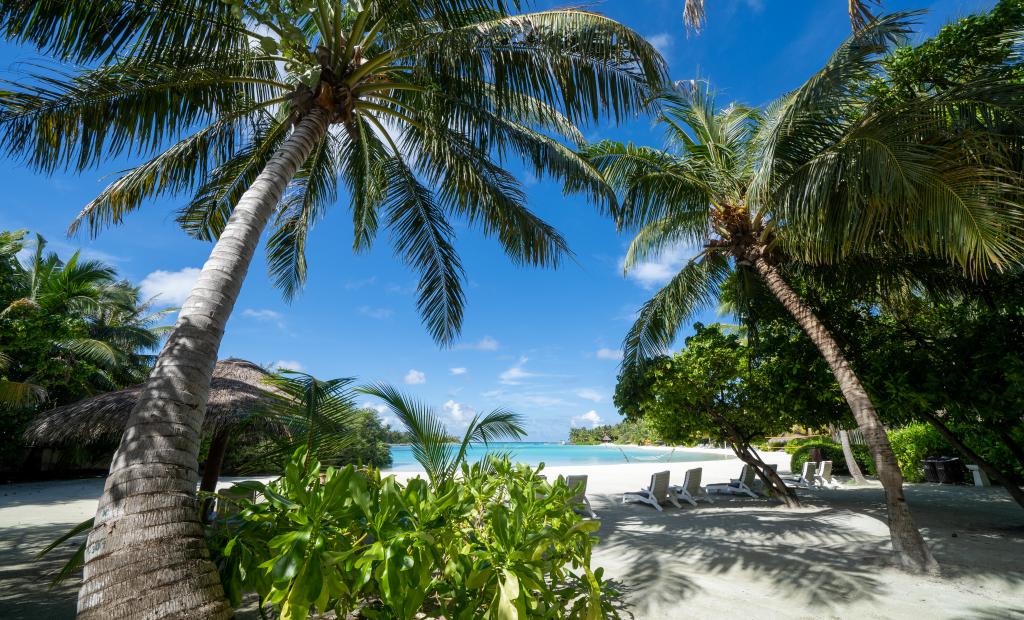 shutterstock_1582087552.jpg