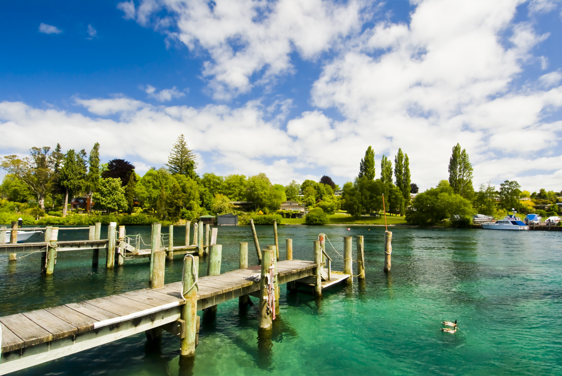 shutterstock_43474594.jpg