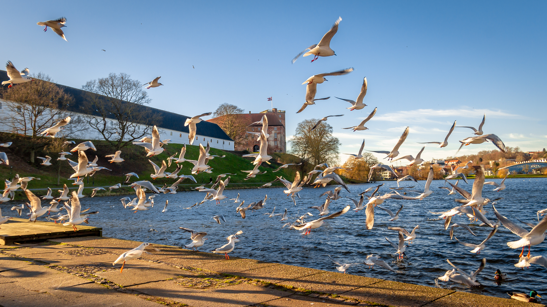 shutterstock_1288406959.jpg
