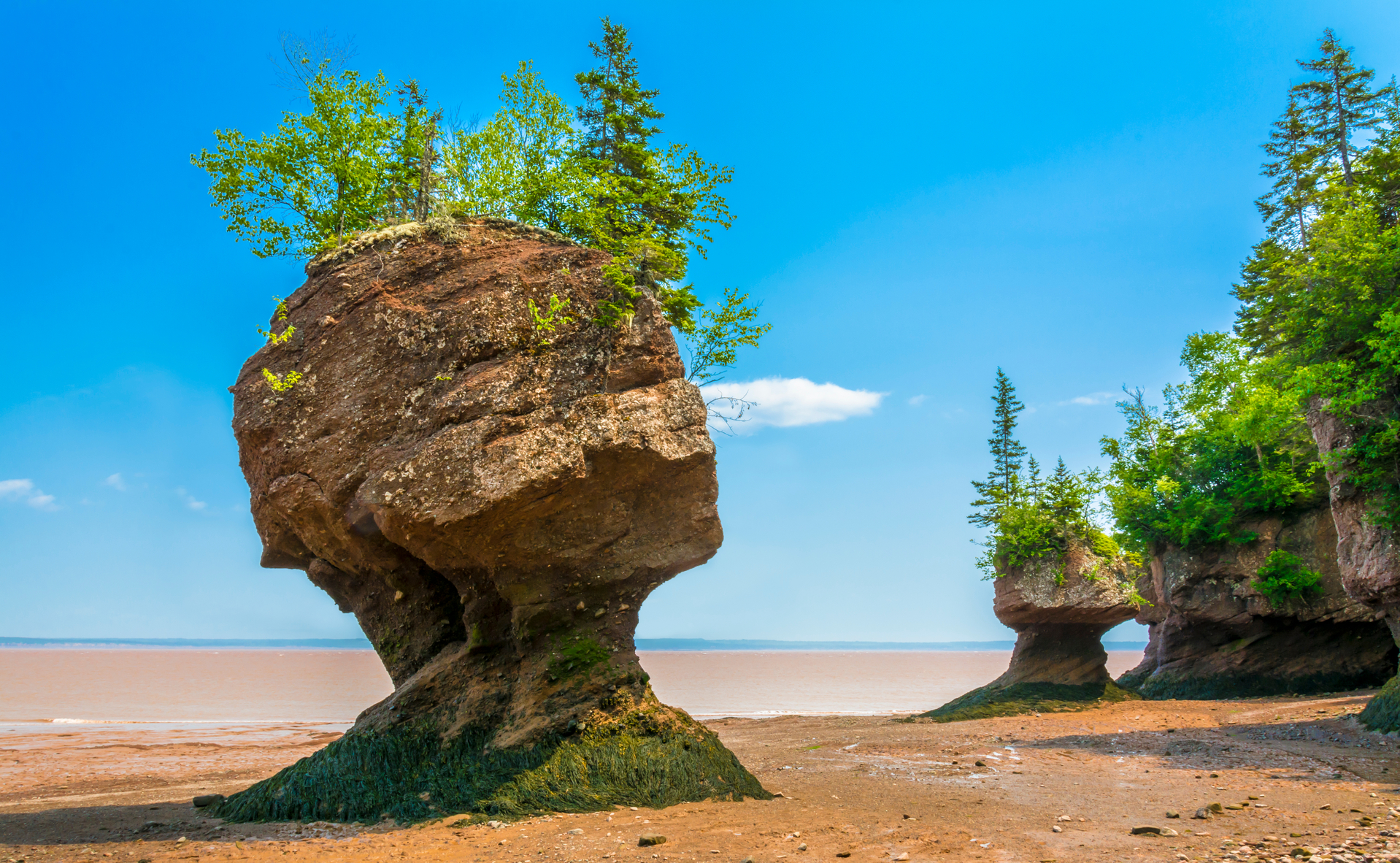 shutterstock_1409775620.jpg