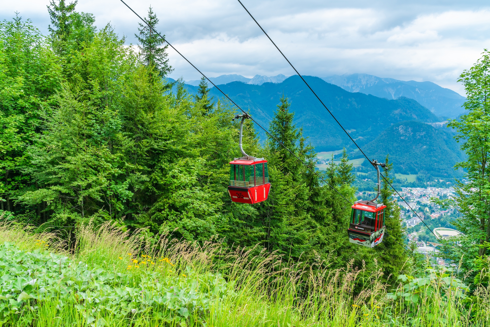 shutterstock_1462230557.jpg