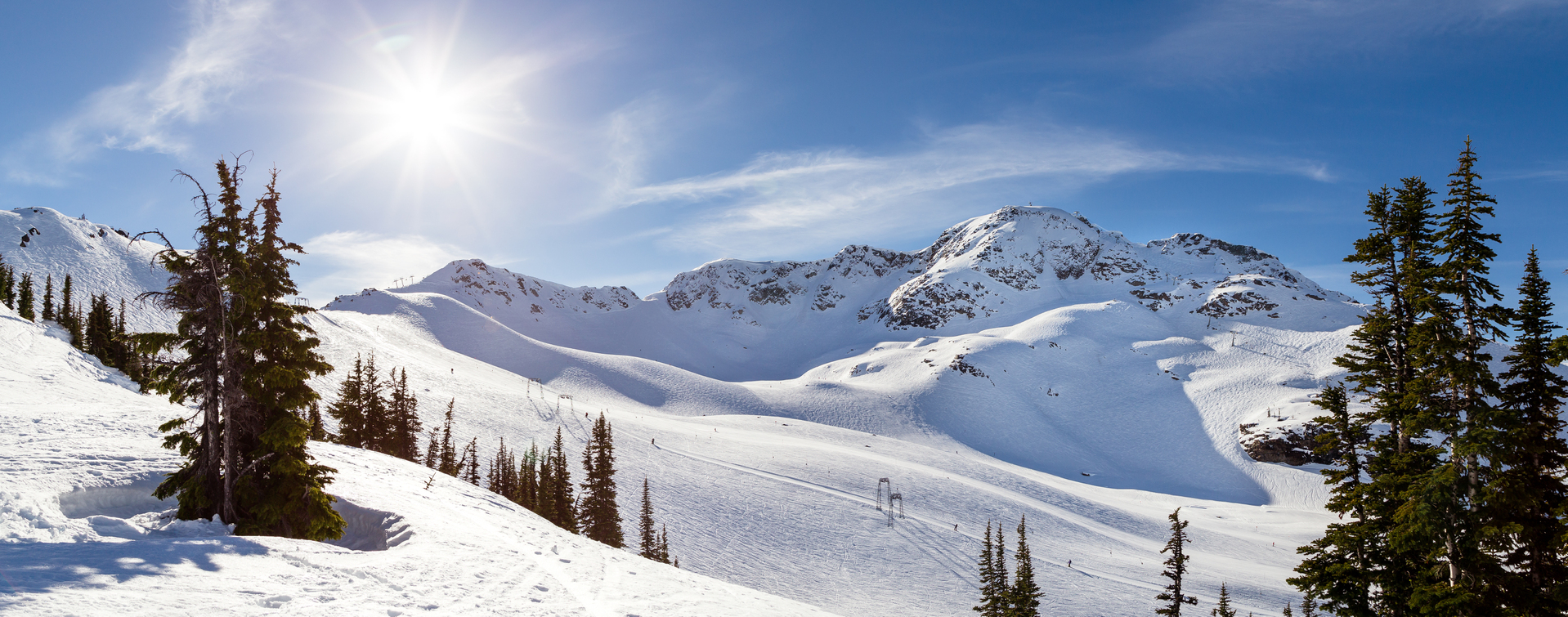 shutterstock_533849152.jpg