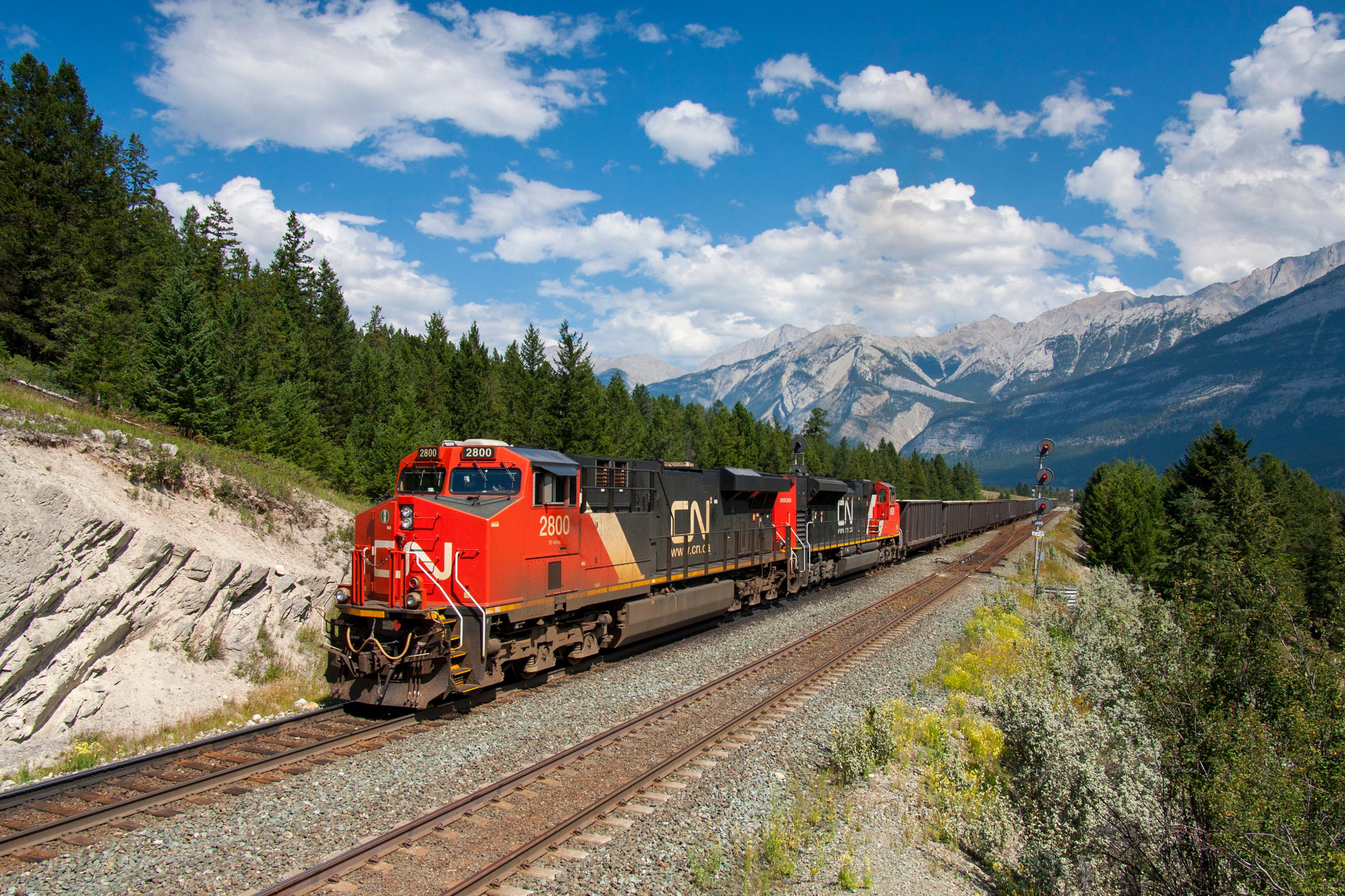 shutterstock_1009061536.jpg