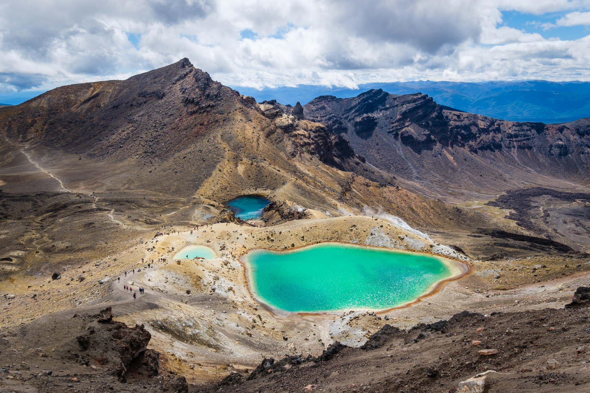 shutterstock_562769608 (1).jpg