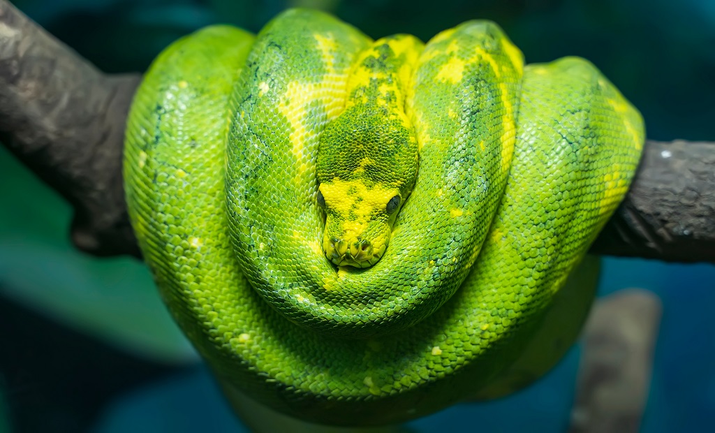 shutterstock_1631538667.jpg