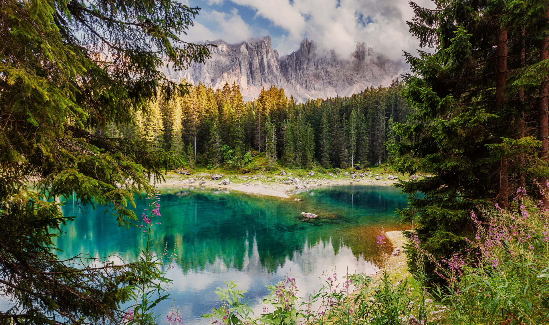 shutterstock_1410066761.jpg