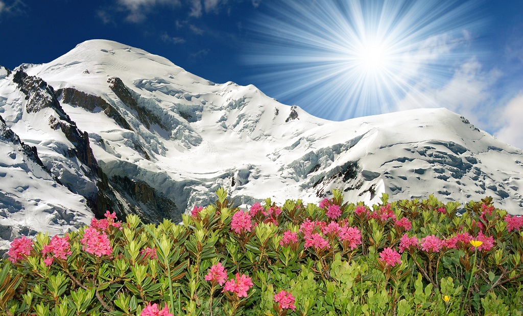 shutterstock_36514675.jpg