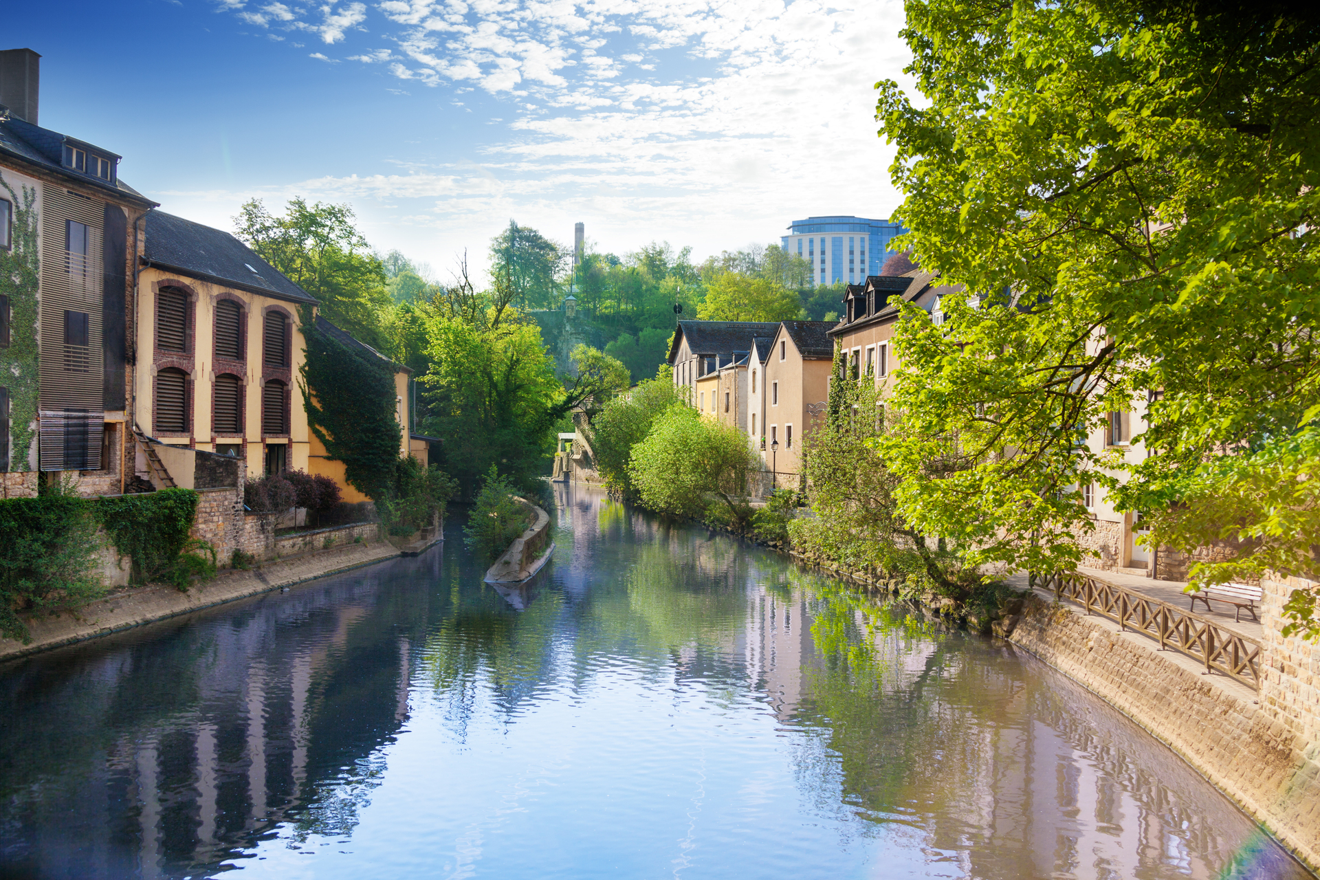 shutterstock_210546166.jpg