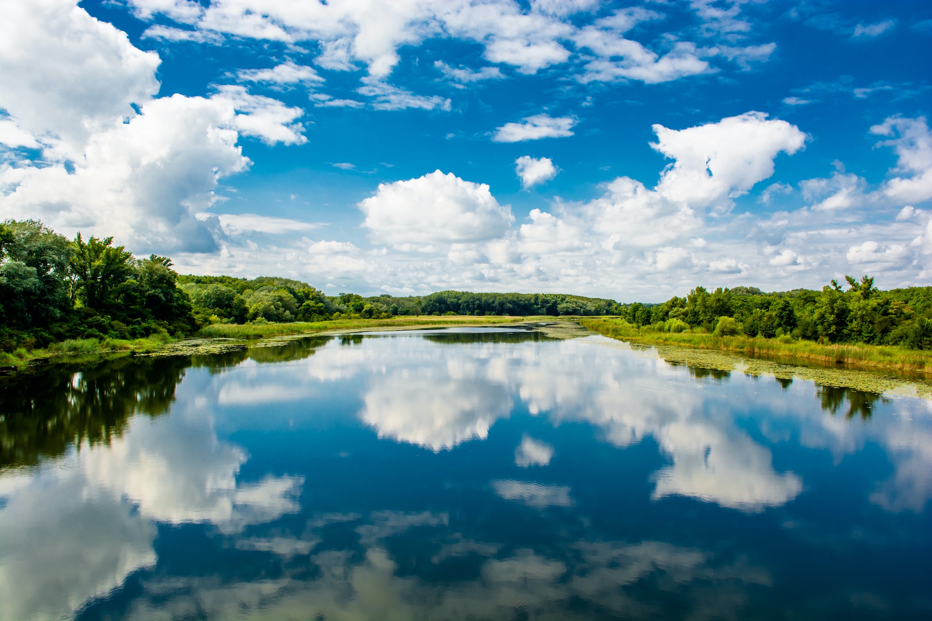 shutterstock_493114786.jpg